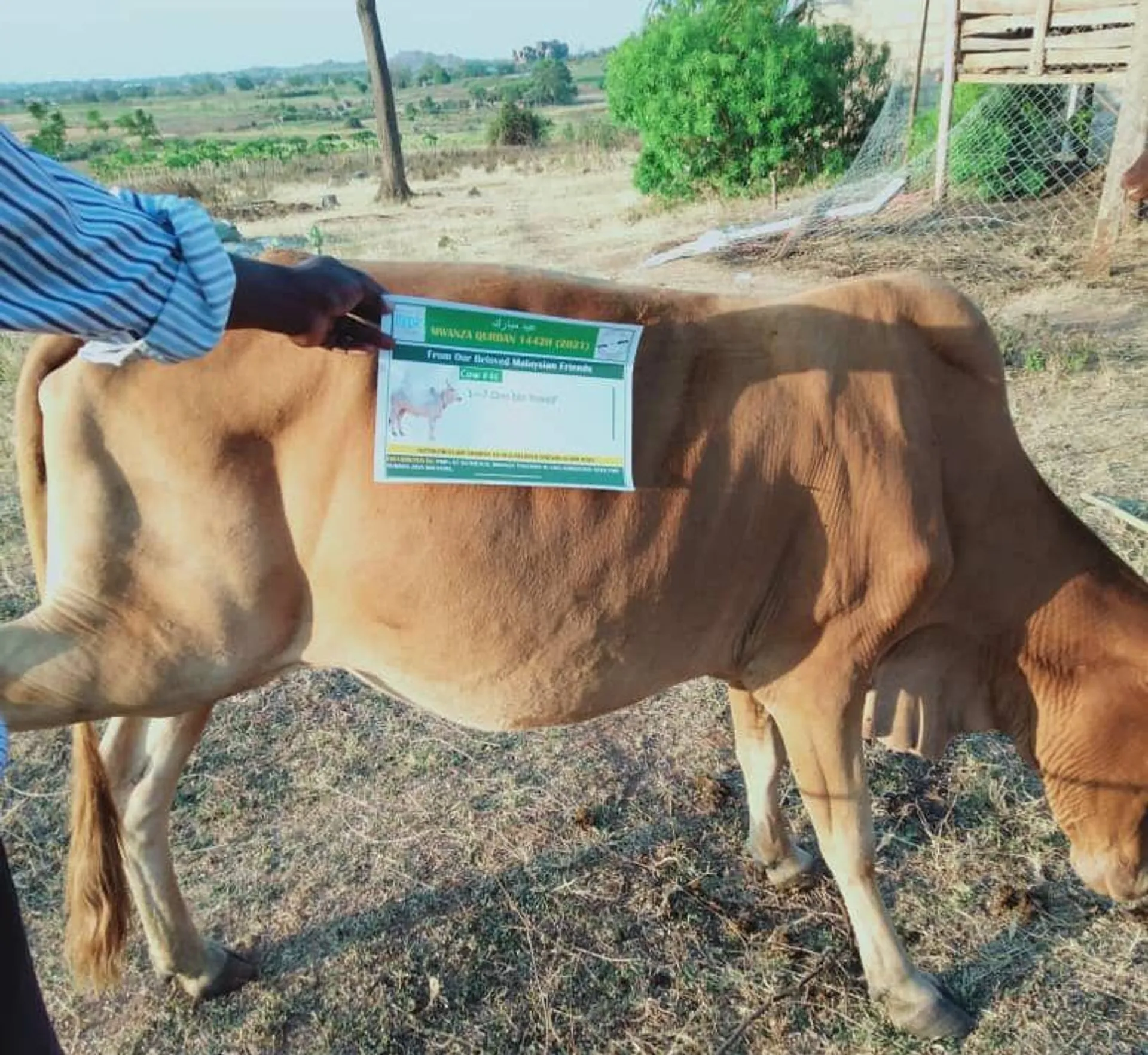 Qurban Tanzania 1442H | 2021